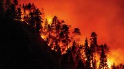 A California hillside burns