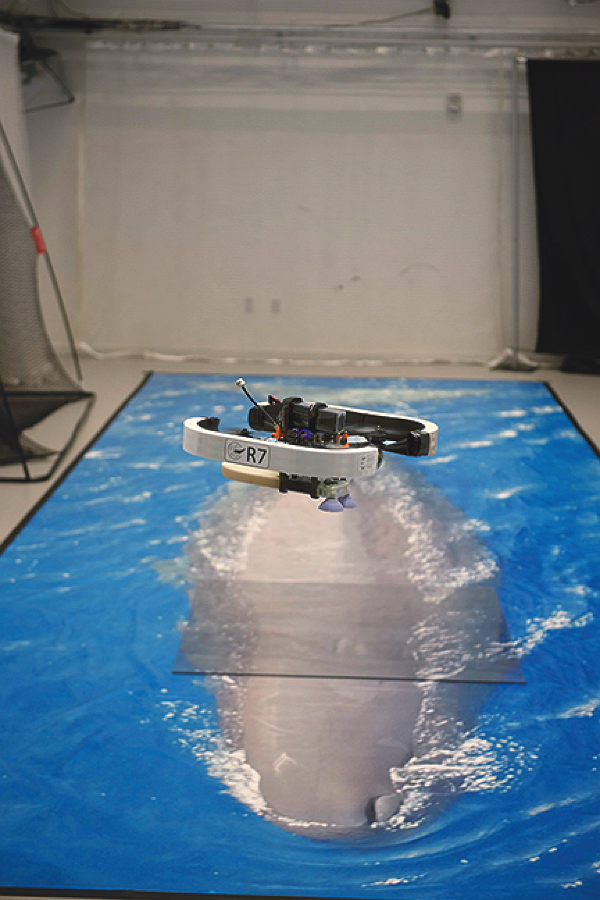 Practicing a drone landing on a full size poster of a sperm whale affixed to the floor.