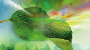 An illustration of a green leaf being hit by a beam of light and bouncing off the leaf and then becoming a color prisim