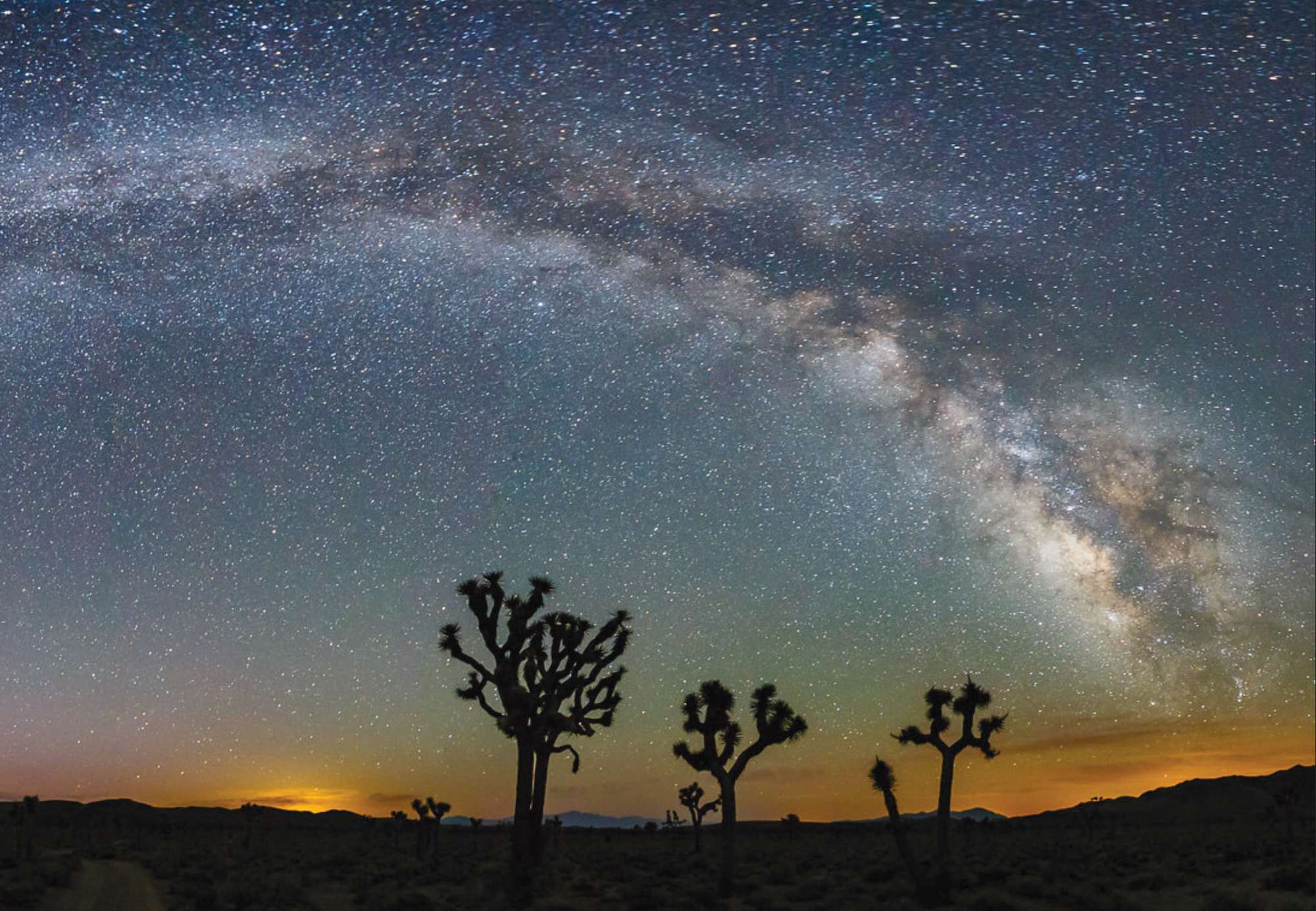 A night sky filled with stars and silhouette of trees with an orange light on the horizon