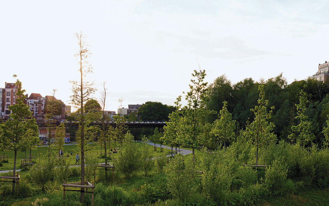 A grassy part of Tour and Taxis park
