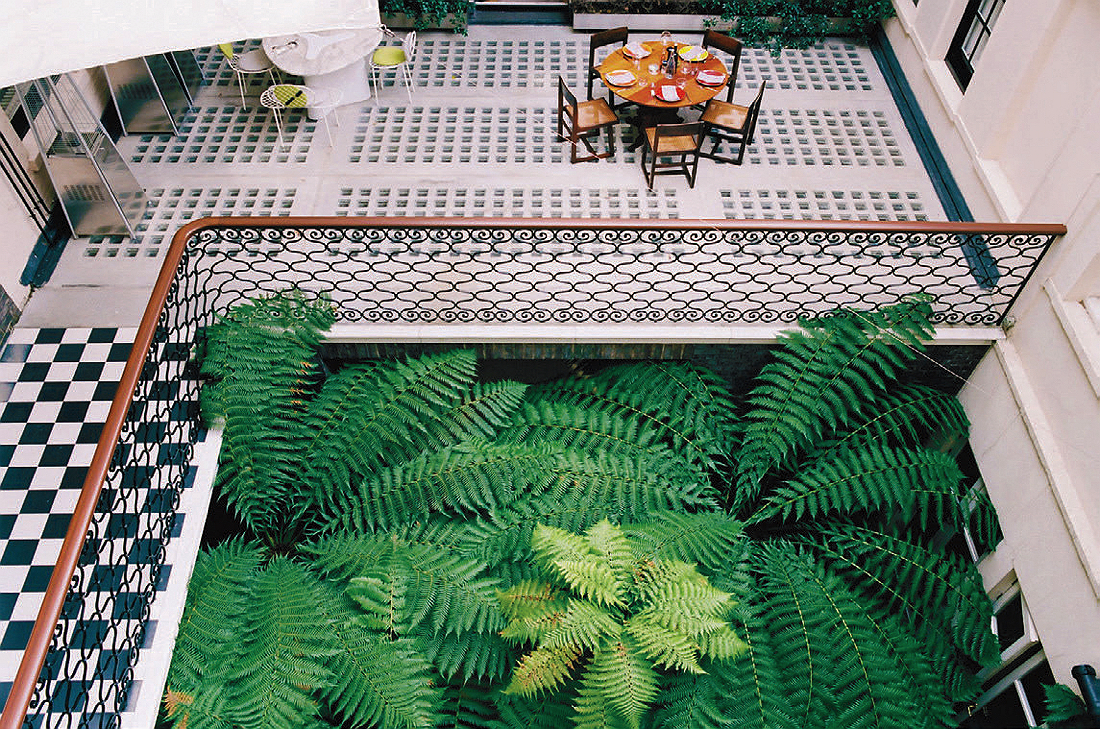 A courtyard with tropical trees