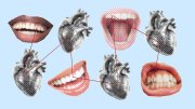 An illustration depicting a series of mouths and heart organs connected by lines, indicating the link between oral hygiene and heart health