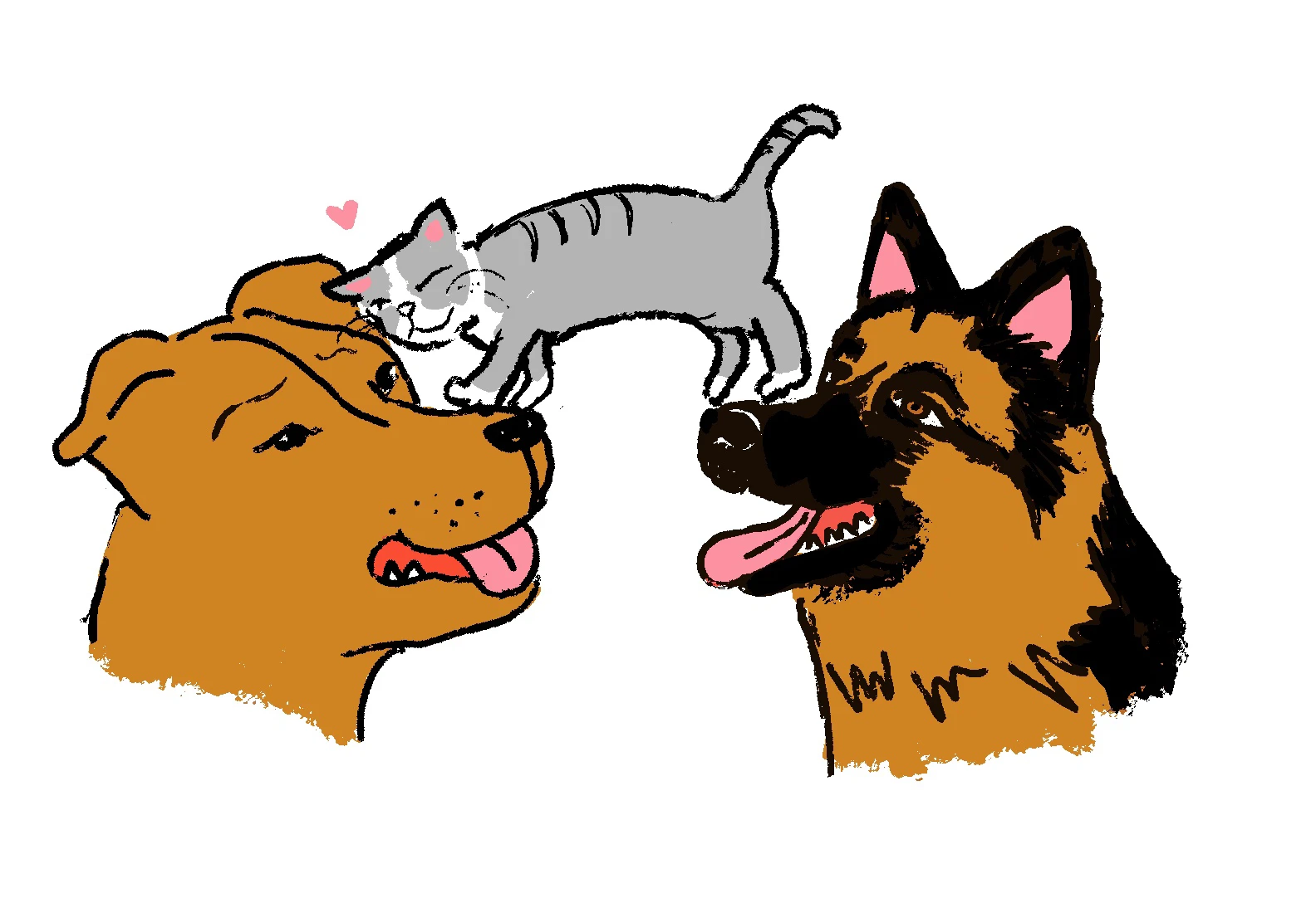 Illustration of a pitbull dog and a German Shephard dog looking up at a gray cat climbing between them with a heart over its head 